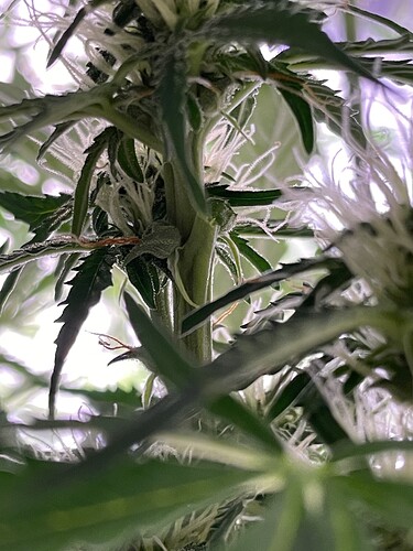 Growreport Bild 7