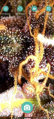 Growreport Bild 2
