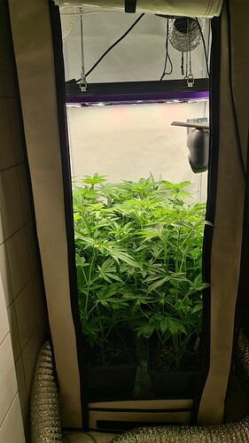 Growreport Bild 19