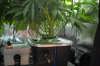 Growreport Bild 10