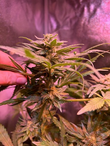 Growreport Bild 16