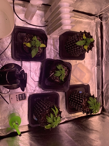 Growreport Bild 14