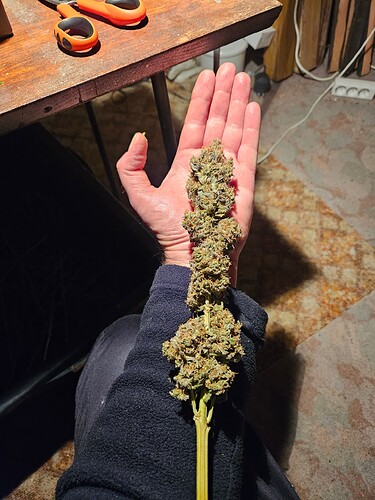 Growreport Bild 7