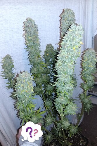 Growreport Bild 12