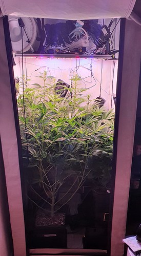 Growreport Bild 1