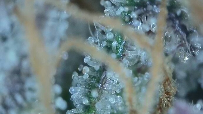 2022-06-25-032708375