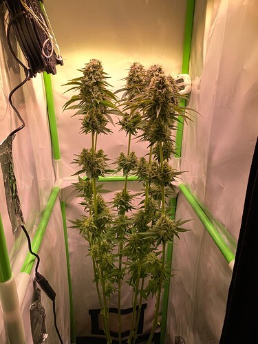 Growreport Bild 8