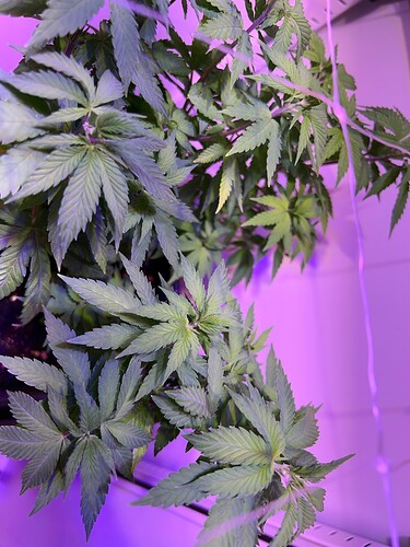 Growreport Bild 8
