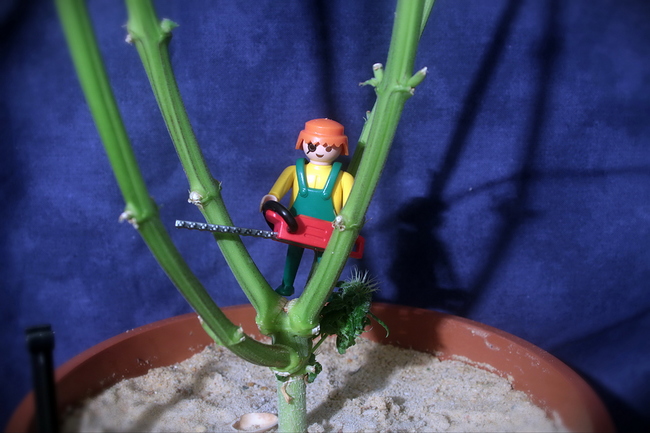 Growreport Bild 11