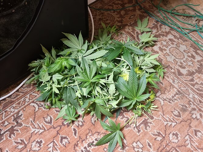 Growreport Bild 14