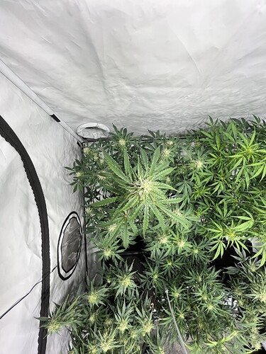 Growreport Bild 14
