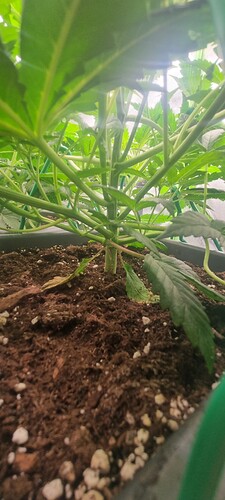 Growreport Bild 13