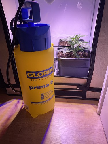 Growreport Bild 23