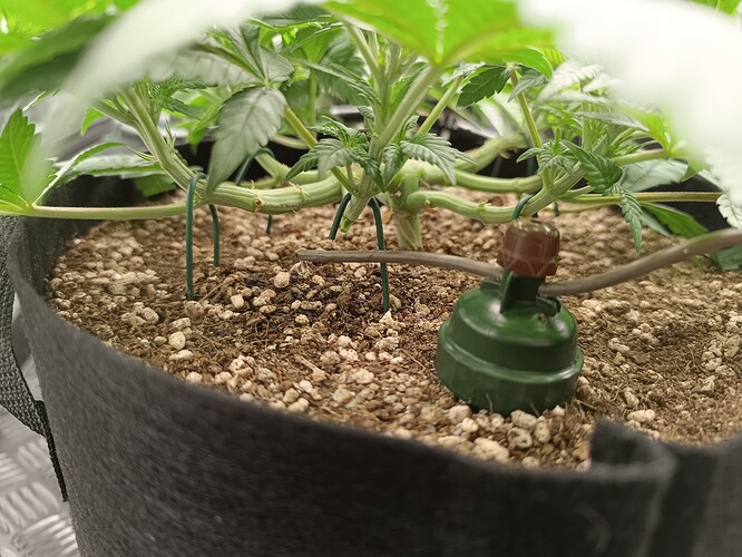 Growreport Bild 10