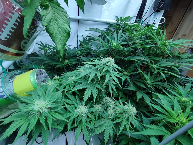 Growreport Bild 21