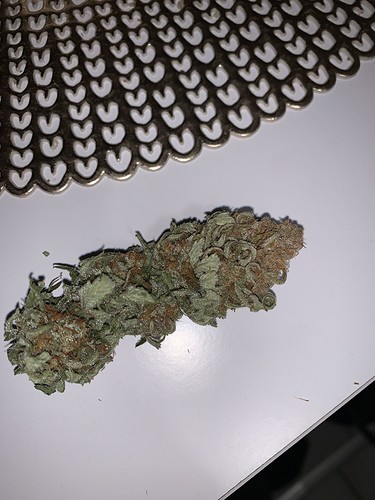 Growreport Bild 2