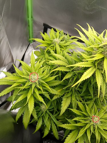 IMG_20230604_112204~2