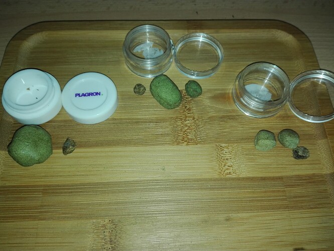Growreport Bild 1