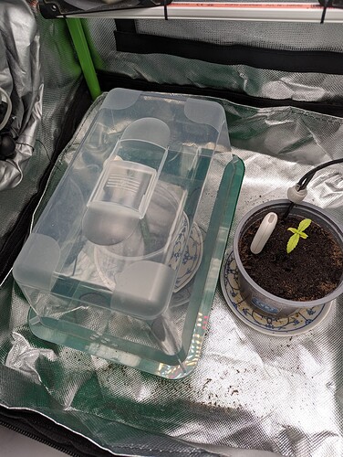 Growreport Bild 37