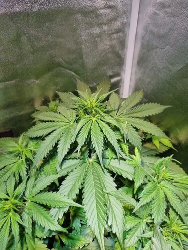 Growreport Bild 18