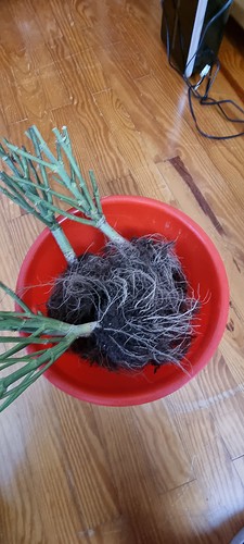 Growreport Bild 11