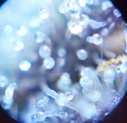 20220109_141431_HDR_(1)