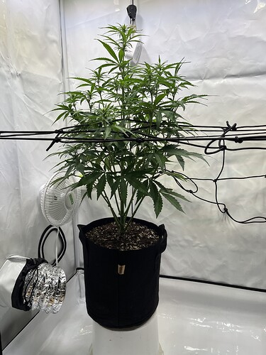 Growreport Bild 22