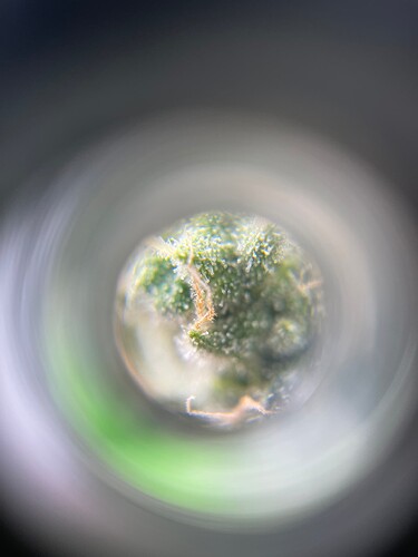 Growreport Bild 6
