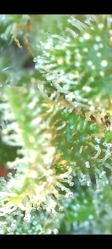 Growreport Bild 14