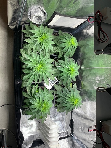 Growreport Bild 17