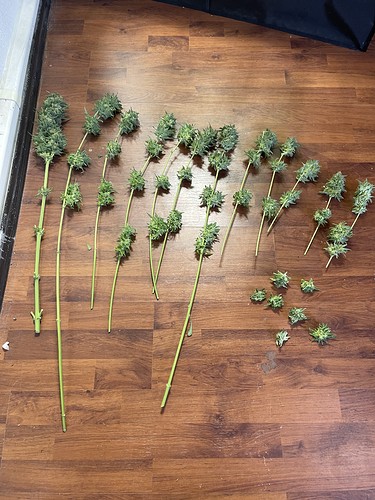 Growreport Bild 8