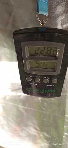 IMG-20231010-WA0002