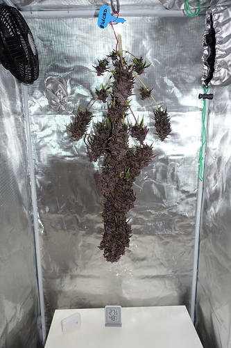Growreport Bild 14