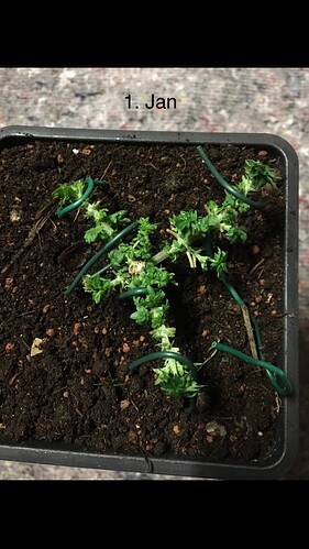 Growreport Bild 11
