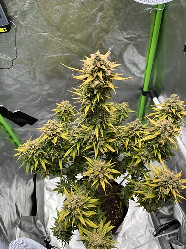 Growreport Bild 23