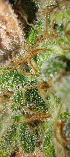 Growreport Bild 8