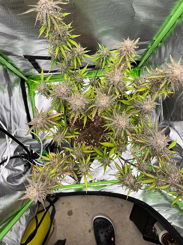 Growreport Bild 10