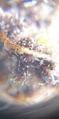 Growreport Bild 17