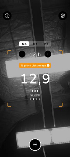 Growreport Bild 31