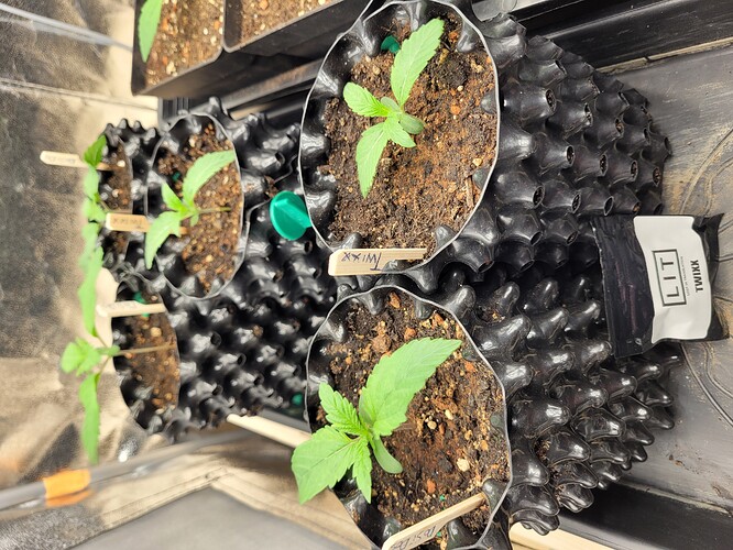 Growreport Bild 6