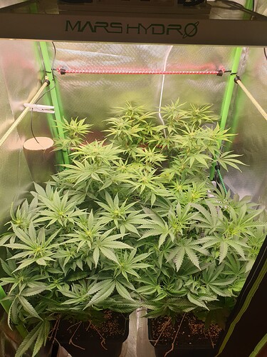 Growreport Bild 7