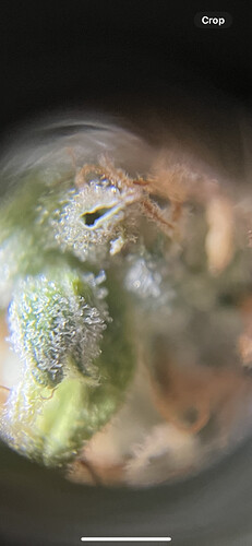 Growreport Bild 10