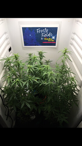 Growreport Bild 7