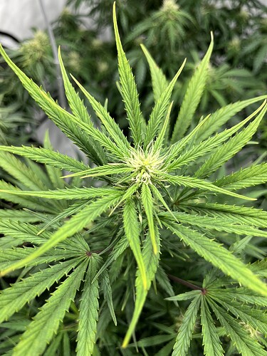 Growreport Bild 10