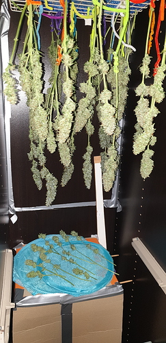 Growreport Bild 10
