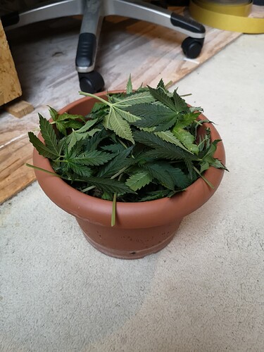 Growreport Bild 4