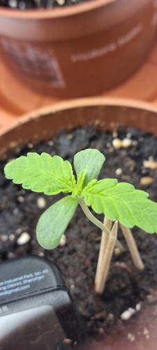 Growreport Bild 11