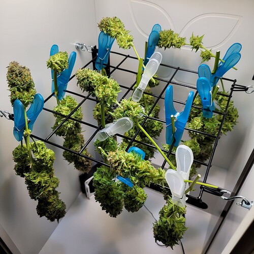 Growreport Bild 11