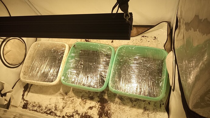 Growreport Bild 20
