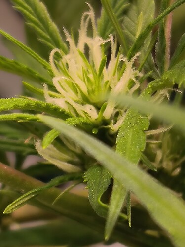 Growreport Bild 7